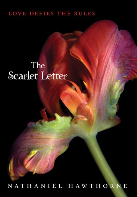 Cover image for book The Scarlet Letter