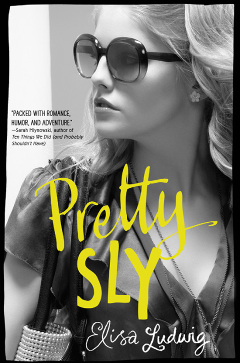 Cover image for book Pretty Sly