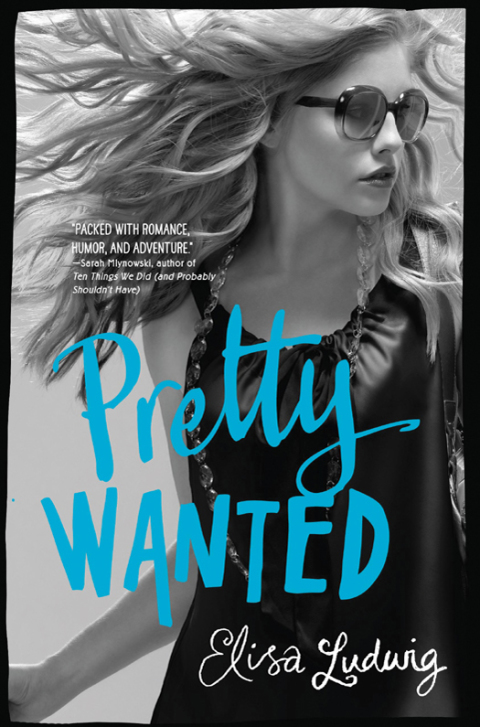Cover image for book Pretty Wanted