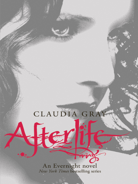 Cover image for book Afterlife