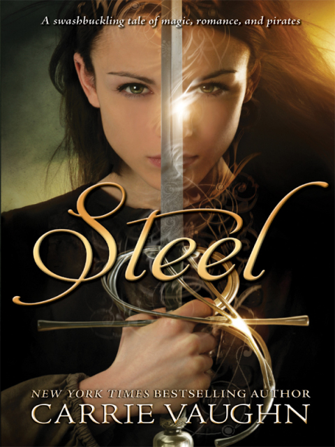 Cover image for book Steel