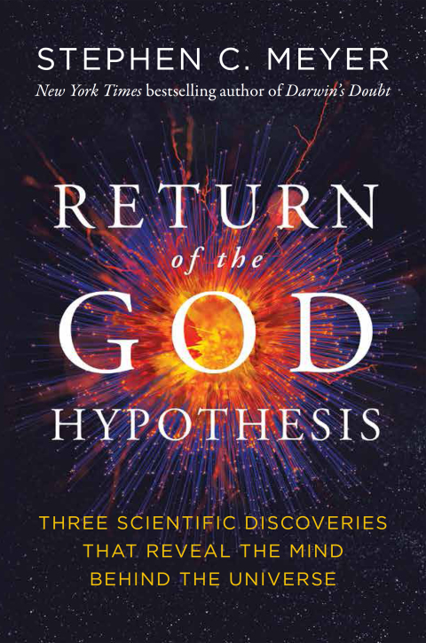 Cover image for book Return of the God Hypothesis