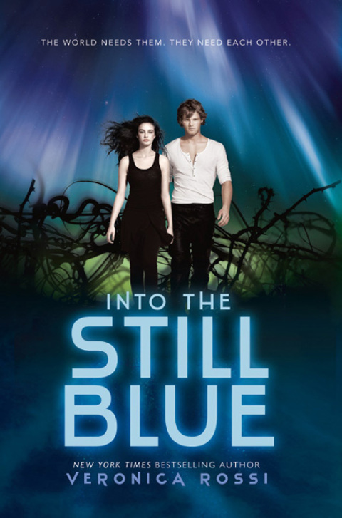 Cover image for book Into the Still Blue