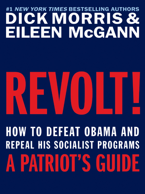 Cover image for book Revolt!
