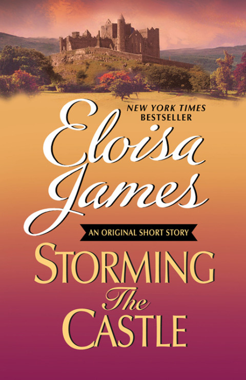 Cover image for book Storming the Castle: An Original Short Story with Bonus Content