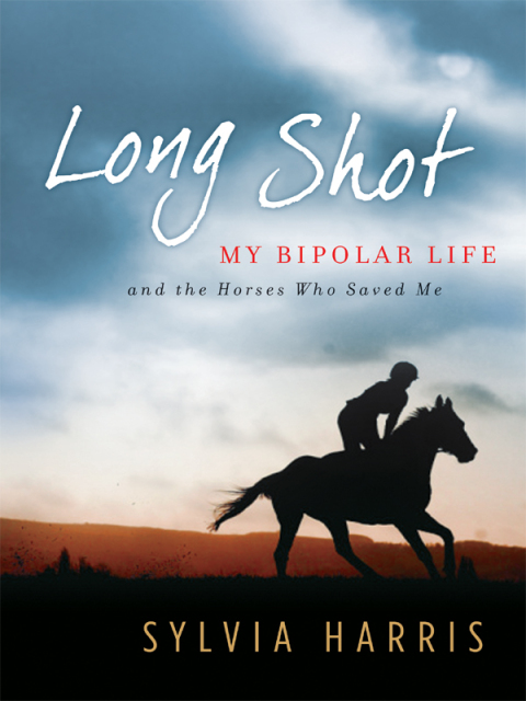 Cover image for book Long Shot
