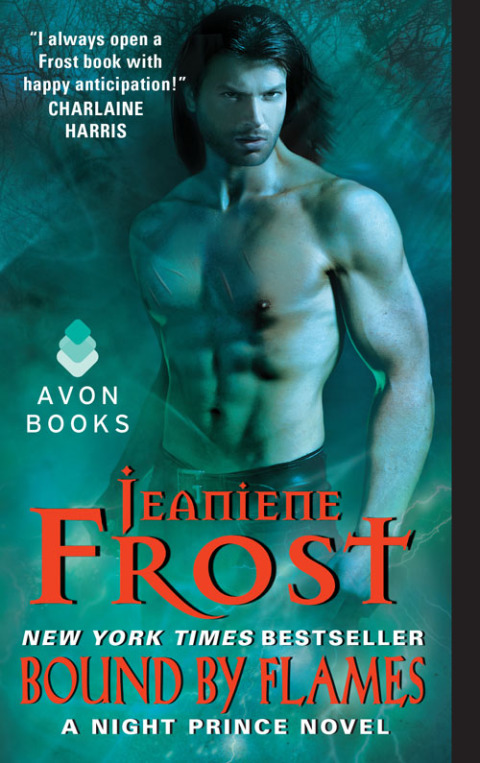 Cover image for book Bound by Flames