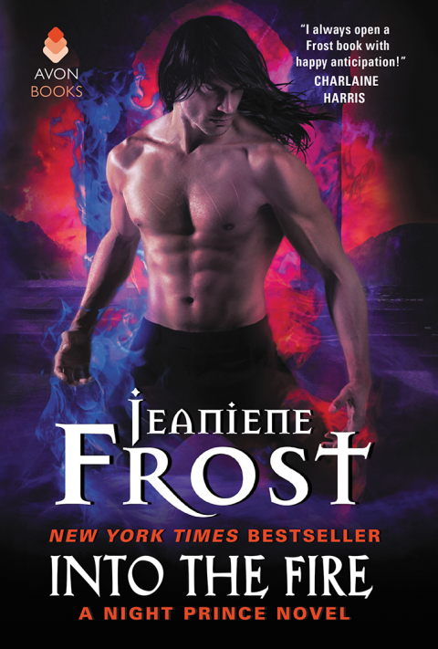 Cover image for book Into the Fire