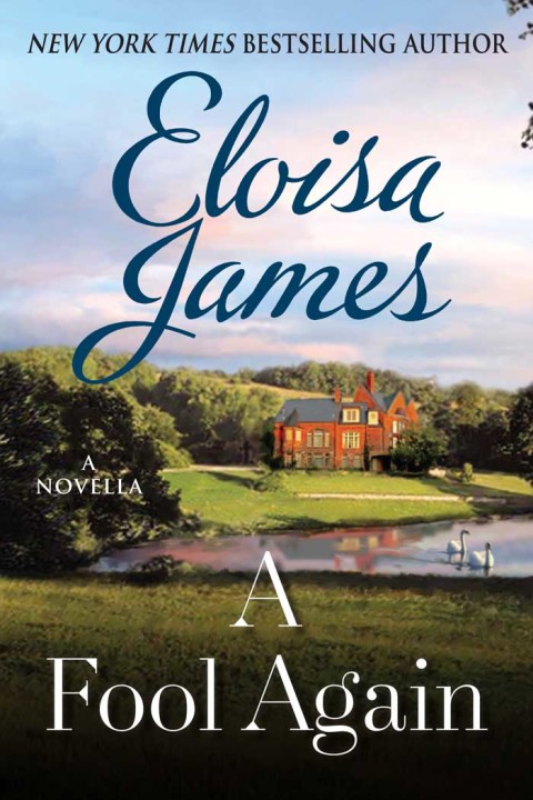 Cover image for book A Fool Again