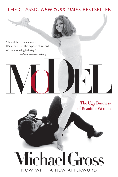 Cover image for book Model