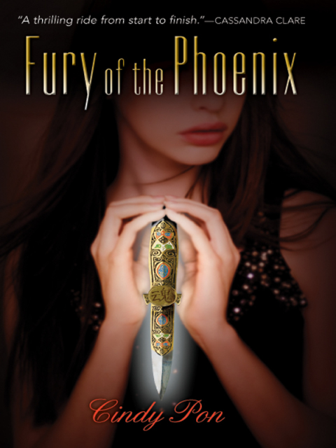 Cover image for book Fury of the Phoenix