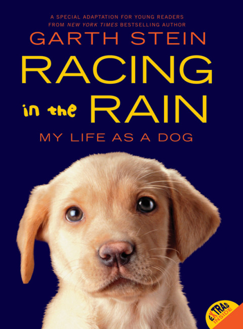 Cover image for book Racing in the Rain