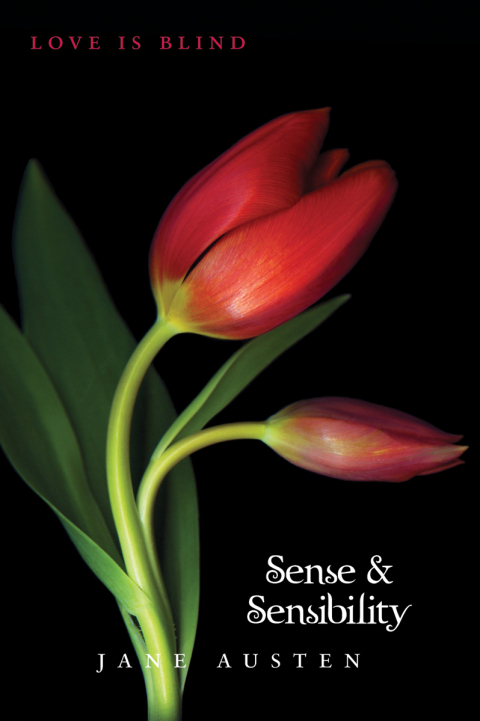 Cover image for book Sense and Sensibility
