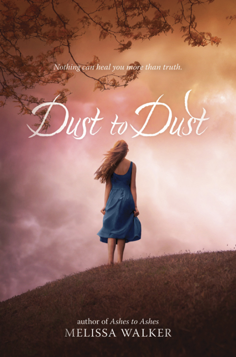Cover image for book Dust to Dust