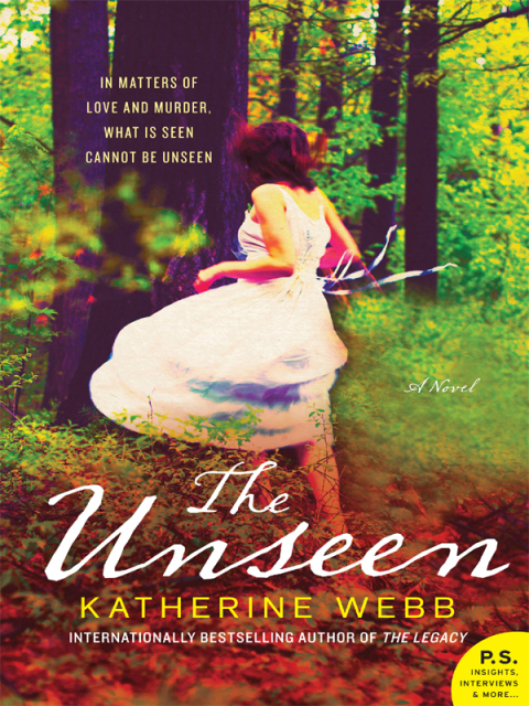 Cover image for book The Unseen