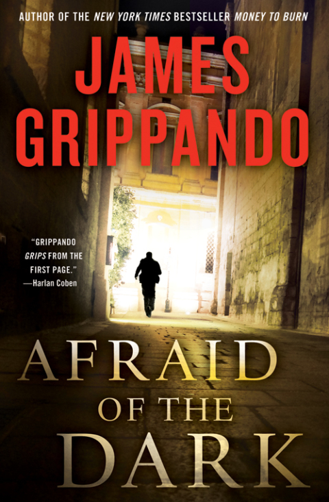 Cover image for book Afraid of the Dark