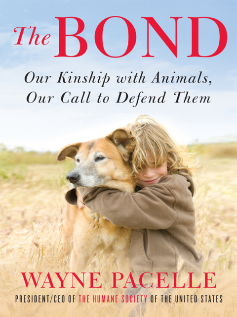 Cover image for book The Bond