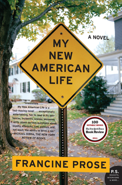 Cover image for book My New American Life