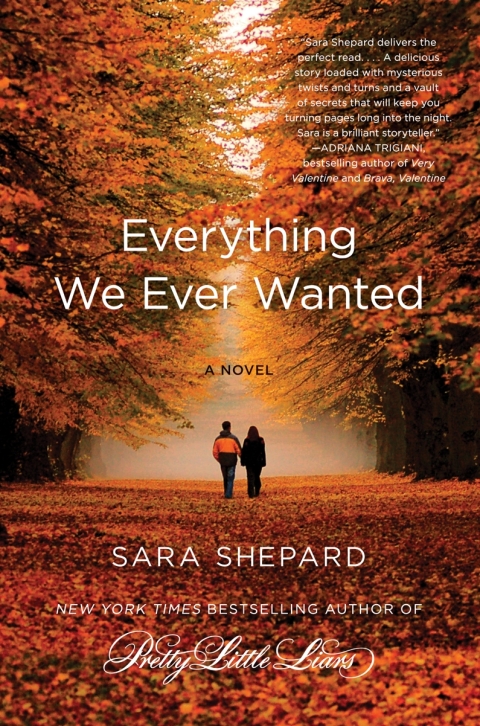 Cover image for book Everything We Ever Wanted
