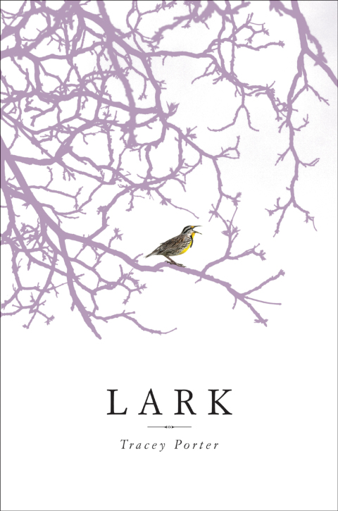 Cover image for book Lark