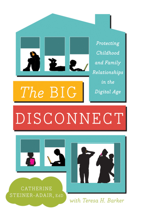 Cover image for book The Big Disconnect