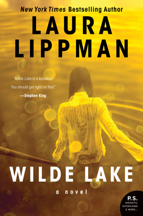 Cover image for book Wilde Lake