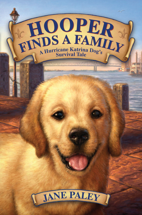 Cover image for book Hooper Finds a Family