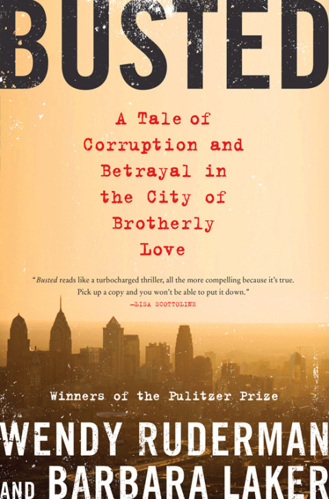 Cover image for book Busted
