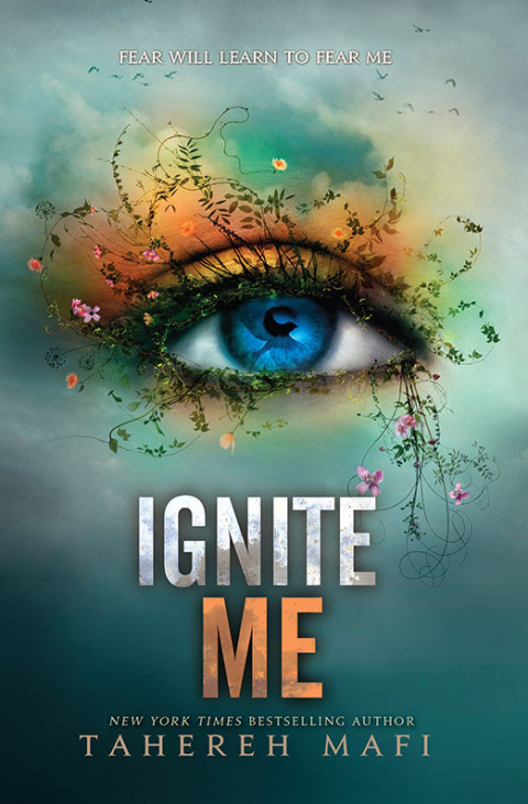 Cover image for book Ignite Me