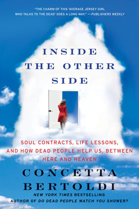 Cover image for book Inside the Other Side