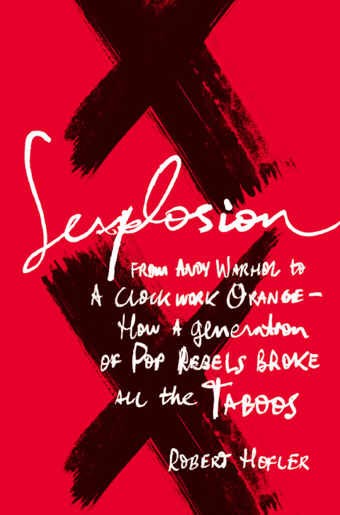 Cover image for book Sexplosion