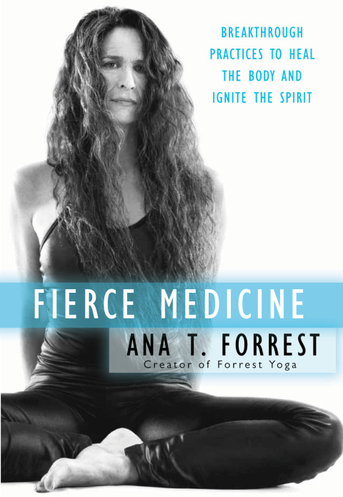 Cover image for book Fierce Medicine