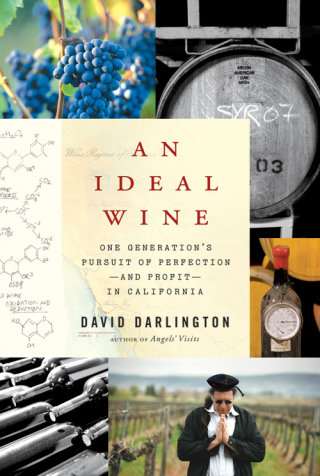 An Ideal Wine