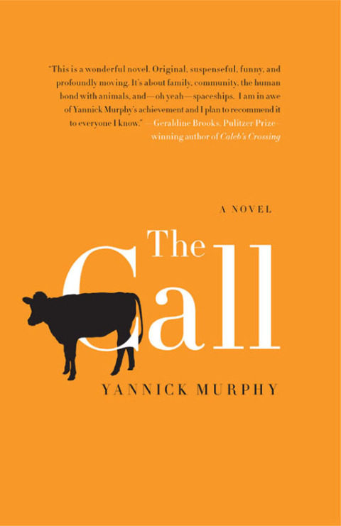 Cover image for book The Call