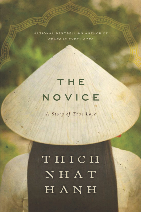 Cover image for book The Novice