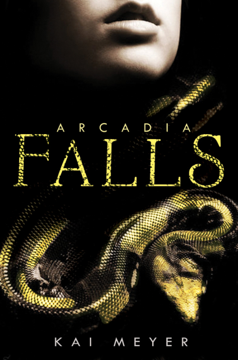 Cover image for book Arcadia Falls