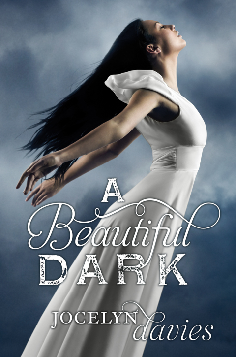 Cover image for book A Beautiful Dark