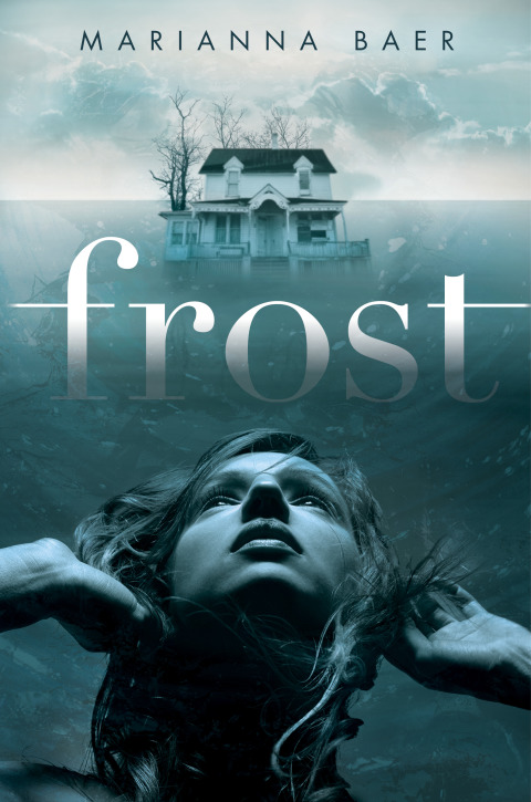 Cover image for book Frost
