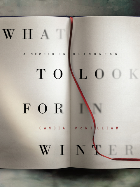 Cover image for book What to Look for in Winter