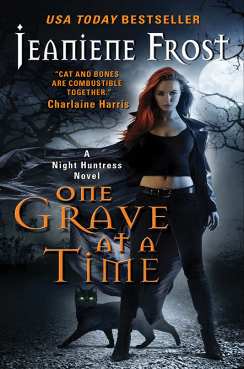 Cover image for book One Grave at a Time