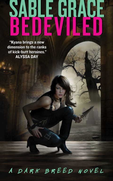 Cover image for book Bedeviled
