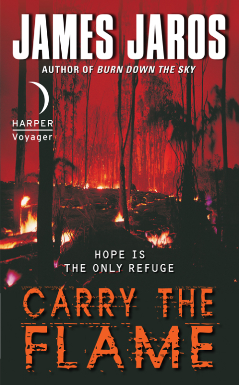 Cover image for book Carry the Flame