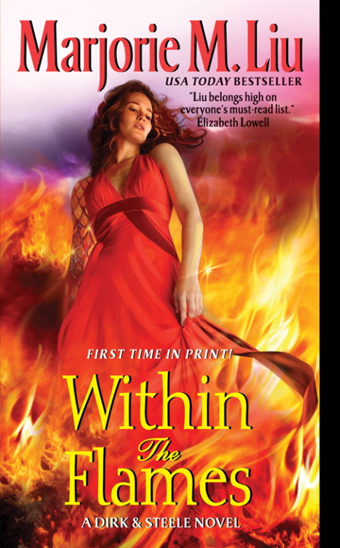 Cover image for book Within the Flames
