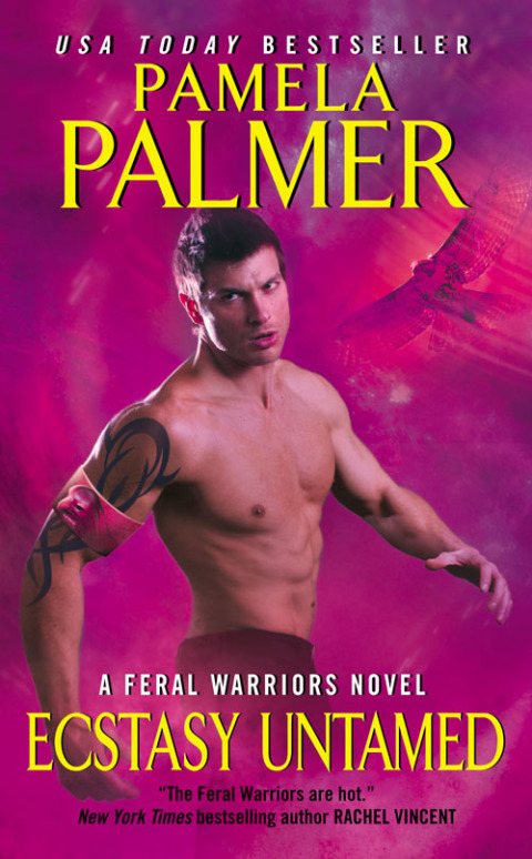 Cover image for book Ecstasy Untamed