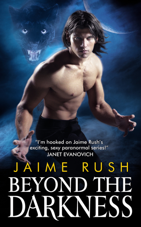 Cover image for book Beyond the Darkness