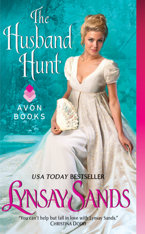 Cover image for book The Husband Hunt