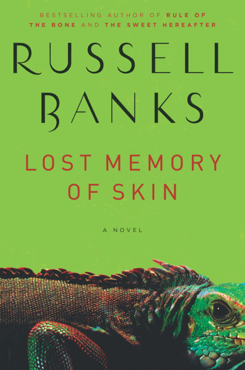 Cover image for book Lost Memory of Skin