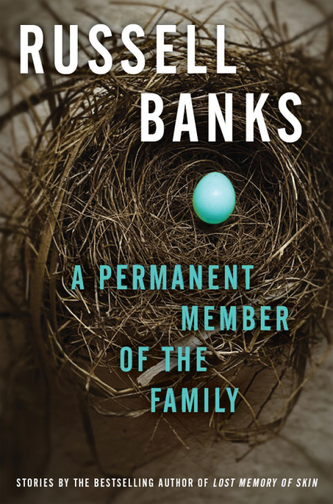 Cover image for book Permanent Member of the Family, A