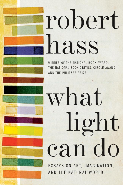 Cover image for book What Light Can Do