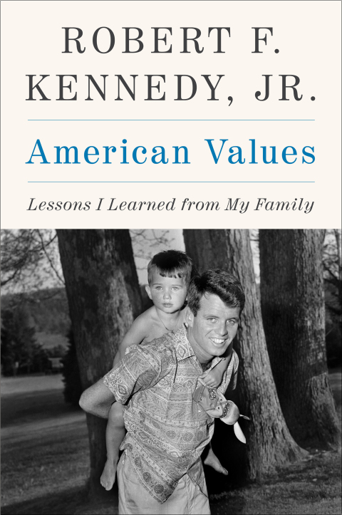 Cover image for book American Values